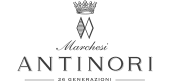 I nostri partner I nostri partner