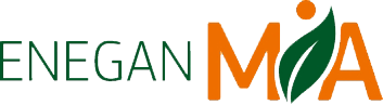 Autolettura Gas e Luce | Enegan, Energy Partner Autolettura Gas e Luce | Enegan, Energy Partner