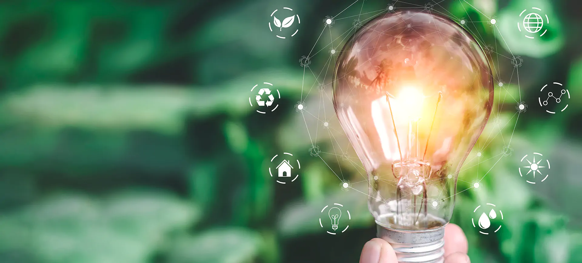 Offerte Luce aziende - Offerta Luce business | Enegan, Energy Partner Offerte Luce aziende - Offerta Luce business | Enegan, Energy Partner