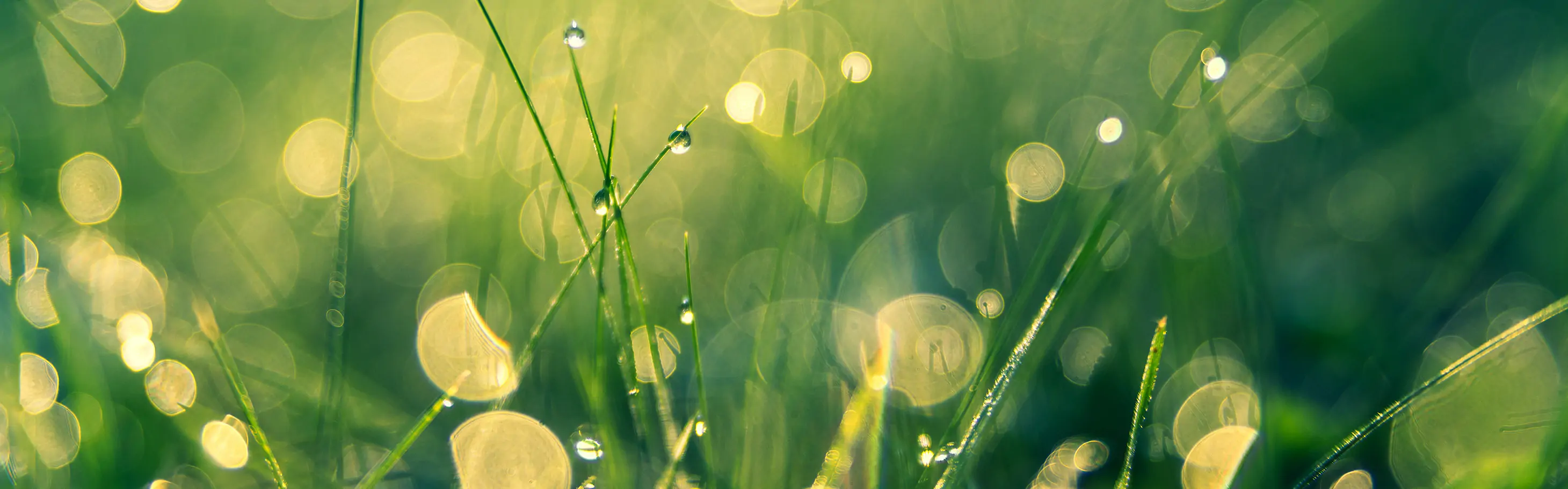 Offerte Luce aziende - Offerta Luce business | Enegan, Energy Partner offerte luce aziende
